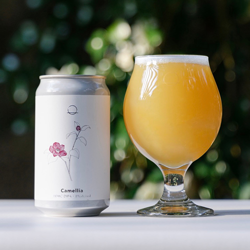 ノボルブルーイング / カメリア (HDHC DIPA) 350ml缶 [Novoru Brewing / Camellia]