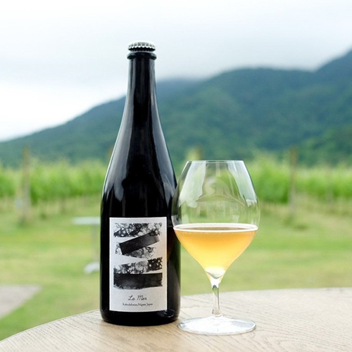 カーブドッチブルーイング / クロワ ラメール (Free Style Sour Ale) 750ml瓶 [Cave D’Occi Brewing / CROIX La Mer]