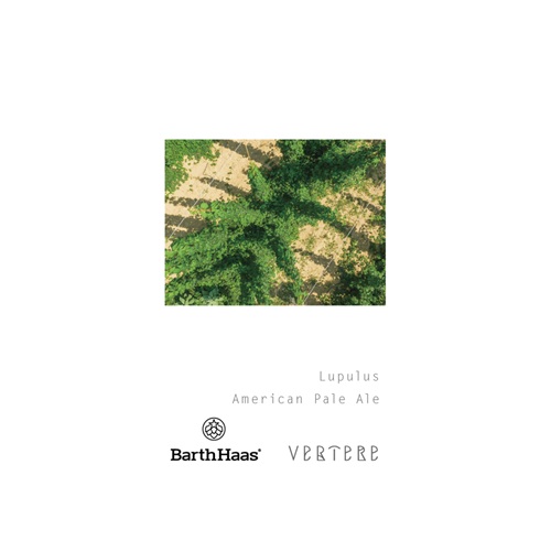 バテレ / ルプルス (American Pale Ale) 500ml缶 [VERTERE / Lupulus #1]