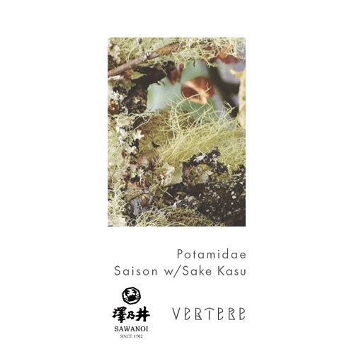 バテレ x 澤乃井 / ポタミダエ (Saison w/Sake Kasu) 350ml缶 [VERTERE x Sawanoi / Potamidae #1]
