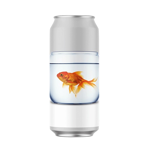 スティルウォーター / ゴールドフィッシュ (Bruxellensis Pale Ale) 473ml缶 [Stillwater / Gold Fish]