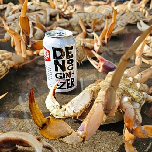 ドレイクス / デノギナイザー (West Coast Double IPA) 355ml缶 [Drake’s Brewing Company / Denogginizer]