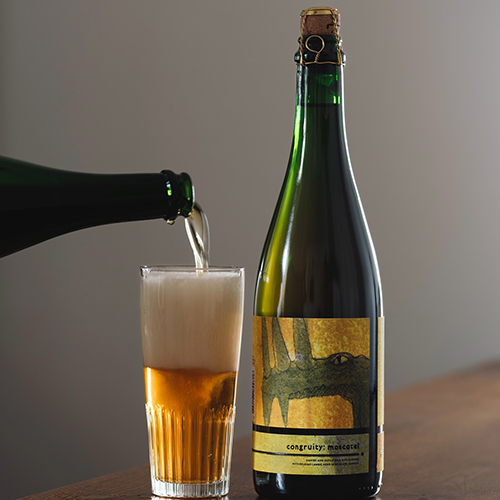 インサイトセラーズ x ボフコン x トミー・シェフ / コングルイティ: モスカテル 2022 (Danish and Dutch Wild Ales blended with Belgian Lambic aged in Moscatel Barrels) 750ml瓶 [Insight Cellars x Bofkont x Tommie Sjef / Congruity: Moscatel 2022]